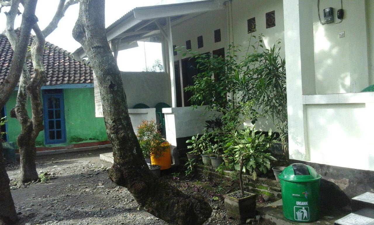 Pedek Homestay Praya Exterior photo